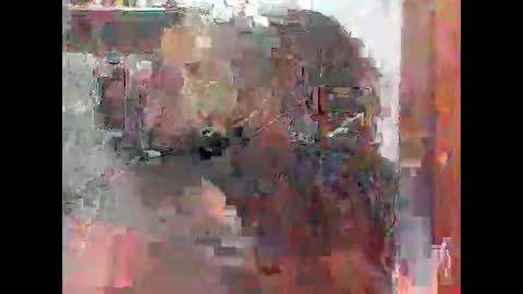 Snapshot of zatiro992 chatting on 14, 2, 2026 Zatth online show from 14, 2, 2026