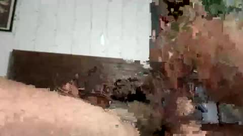 Snapshot of zayd3n69 chatting on 23, 10, 2025 zayden online show from 23, 10, 2025