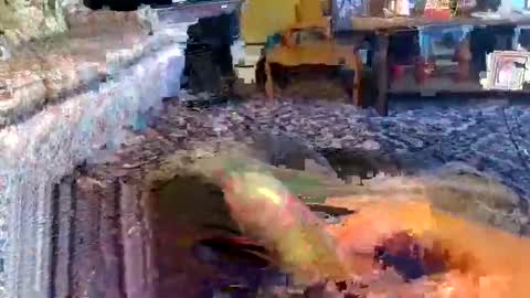 Zerr online show from 1, 11, 2025