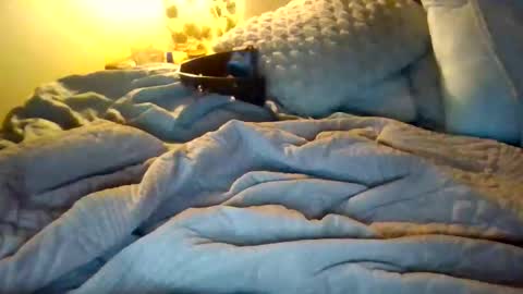 9.3 inch online show from 17, 12, 2025