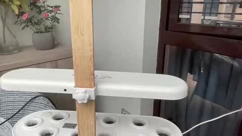 Nensi online show from 6, 4, 2026