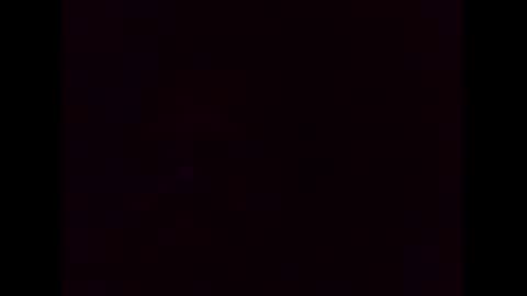 Ziggy online show from 4, 12, 2024