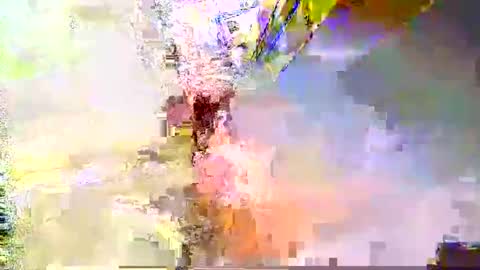 Snapshot of zippy001 chatting on 6, 12, 2024 zippy001 online show from 6, 12, 2024
