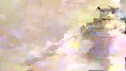 Snapshot of zippy001 chatting on 7, 12, 2024 zippy001 online show from 7, 12, 2024