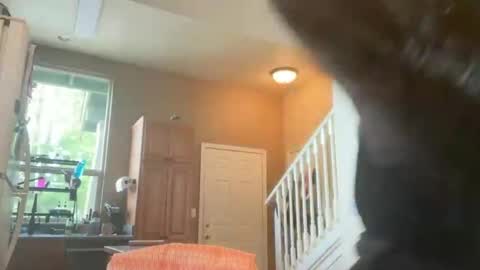 Zoeydanner online show from 17, 2, 2026