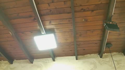 zoley  online show from 6, 10, 2025