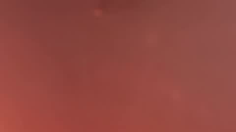 Snapshot of zuckerzel chatting on 12, 4, 2026 Zuckerzel online show from 12, 4, 2026