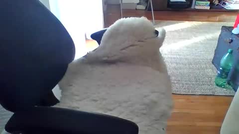 zyggy87 online show from 23, 2, 2026