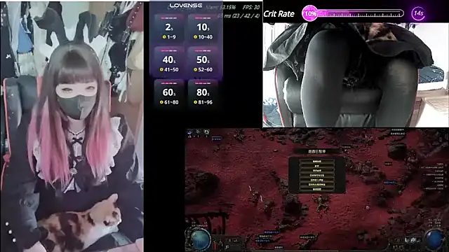 z23002 online show from 17, 1, 2025