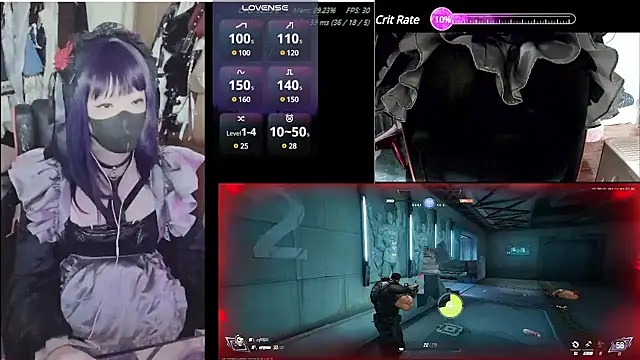 z23002 online show from 24, 1, 2025