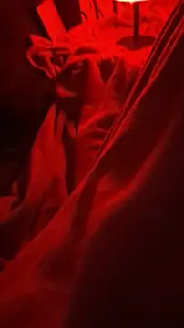 Snapshot of BirdyOfficial__ chatting on 7, 11, 2025 BirdyOfficial online show from 7, 11, 2025