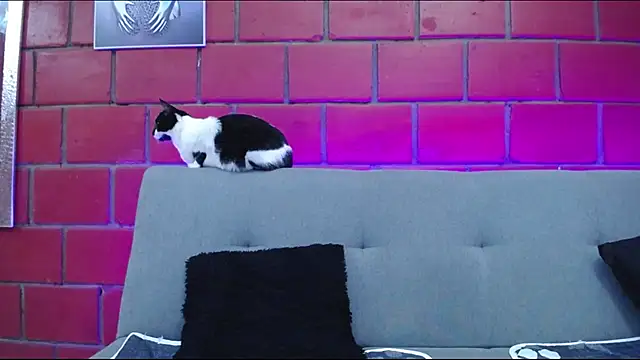 kiara eyes12 online show from 25, 2, 2025