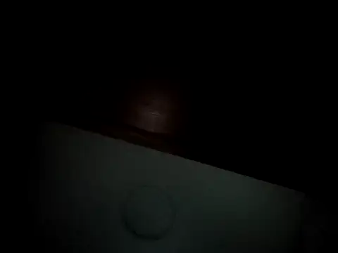 Snapshot of Linda_Gregory chatting on 16, 2, 2025 Linda Gregory online show from 16, 2, 2025