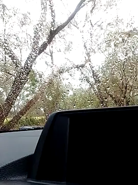 stiffandlubedxh online show from 21, 10, 2025