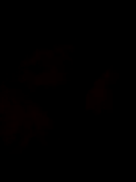 Sanny212 online show from 9, 12, 2024