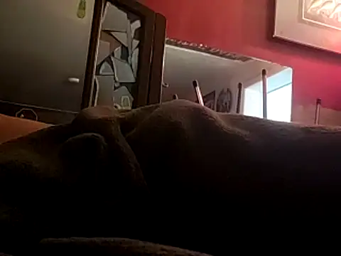 JRock69nKzoo online show from 12, 11, 2025