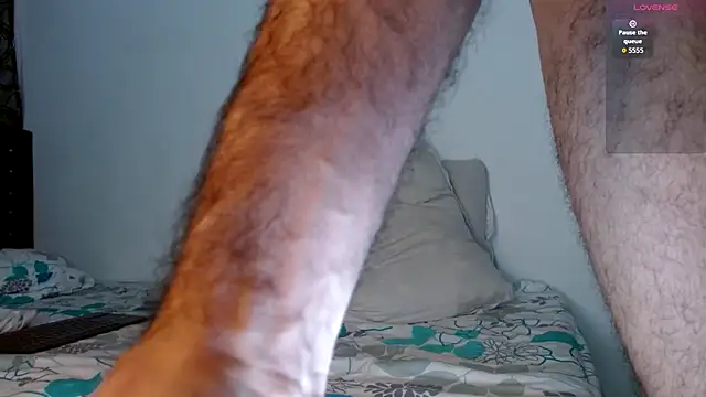 bear 97s online show from 16, 9, 2025