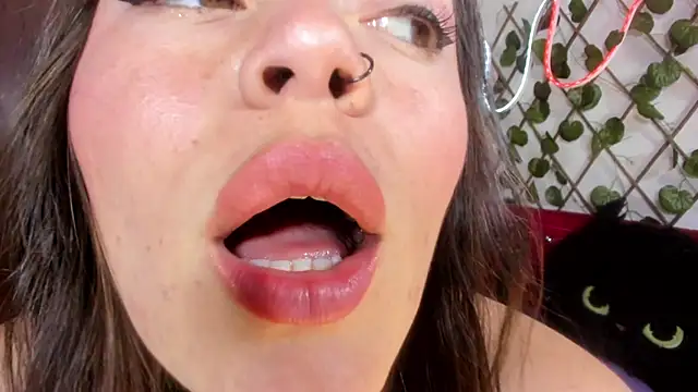  kalypso  online show from 22, 2, 2026