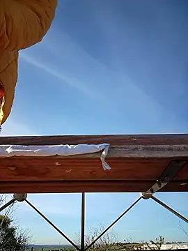 bellapaty online show from 30, 3, 2026