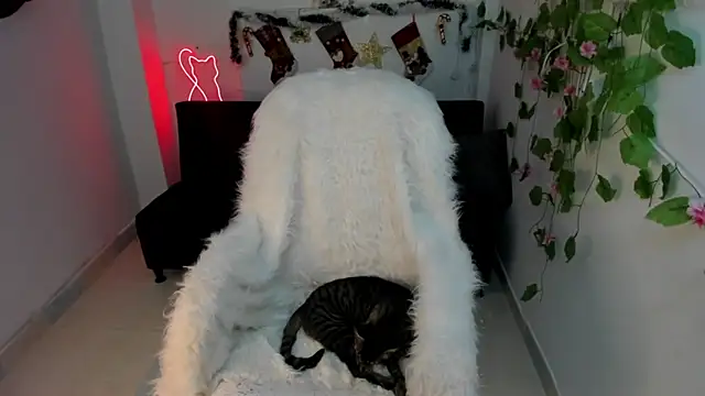 Nanami 19 online show from 15, 12, 2024