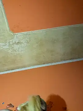 ducicsajsziii online show from 9, 12, 2024