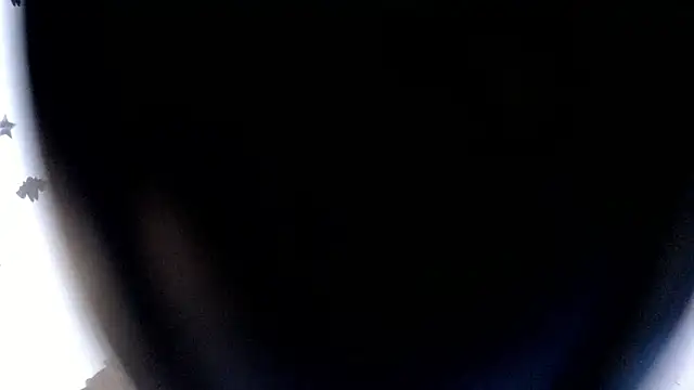 Snapshot of minibrowniet chatting on 11, 3, 2025 minibrowniet online show from 11, 3, 2025