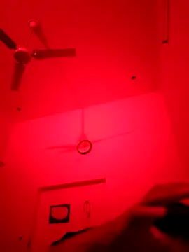 ZIMMY25 online show from 22, 11, 2025