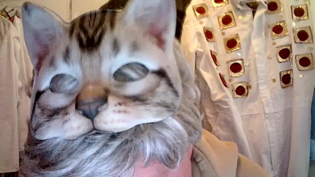 Sigorius online show from 6, 3, 2026