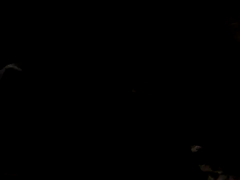 Nawtyslaveteen online show from 24, 11, 2025