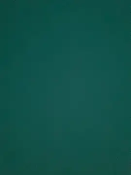 Ruby bear online show from 8, 3, 2025