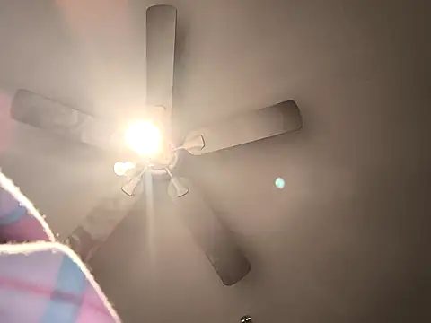 Snapshot of fransexdol chatting on 26, 2, 2025 fransexdol online show from 26, 2, 2025