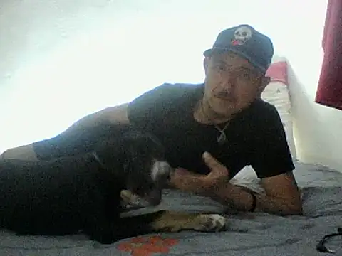 cartiagiz online show from 28, 9, 2025