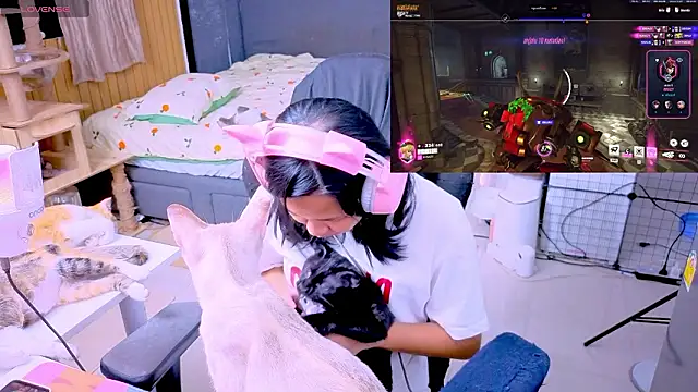 Kana G online show from 11, 3, 2026