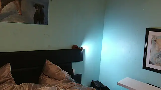 Prxscillia Tx online show from 15, 4, 2026