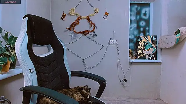 RosaJil online show from 19, 12, 2025