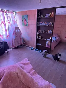 Sachi Meow online show from 25, 2, 2026