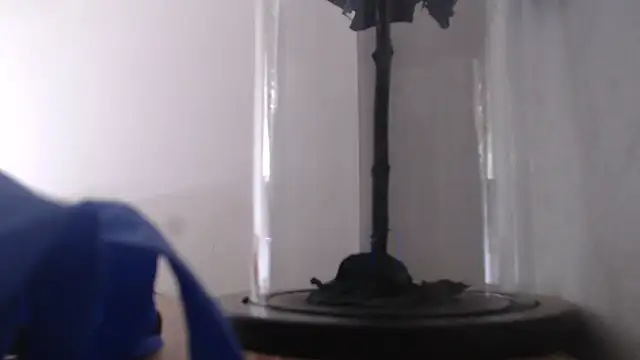 Janna099 online show from 21, 9, 2025