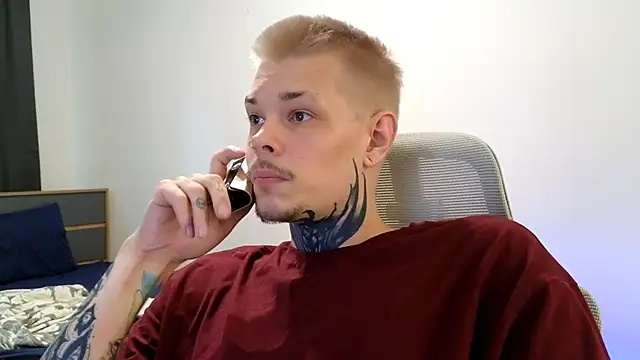 Snapshot of DENIS_HERE chatting on 14, 6, 2026 DENIS HERE online show from 14, 6, 2026