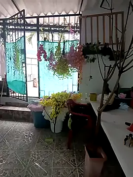 dakota johnson10 online show from 3, 12, 2025