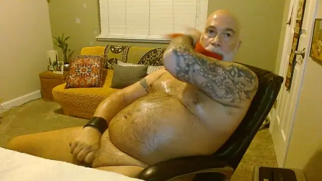 musclebearnips online show from 17, 11, 2025