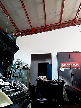 tinybear79 online show from 1, 10, 2025