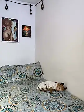 Snapshot of LiliJones_ chatting on 15, 2, 2025 LiliJones online show from 15, 2, 2025