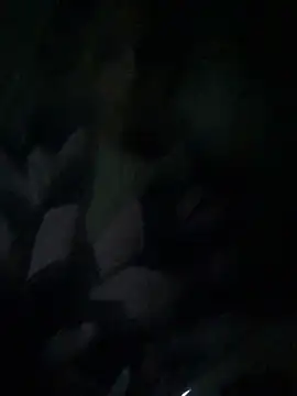 ChantalXOrchid online show from 4, 4, 2026