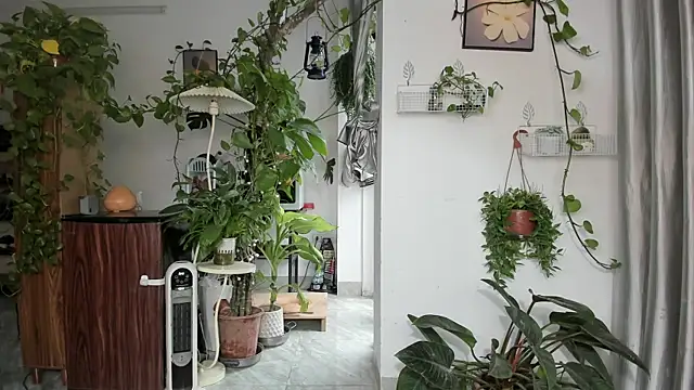 Oliver Nl online show from 3, 3, 2026