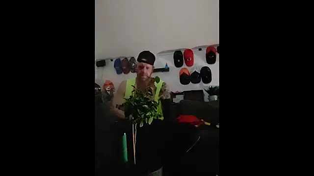 eltoulou online show from 12, 1, 2025