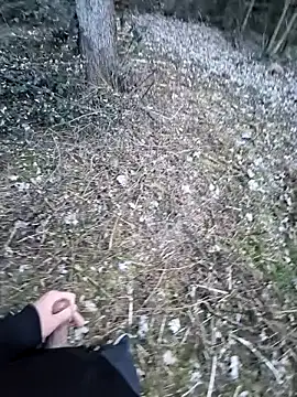 Picknick84 online show from 21, 3, 2025