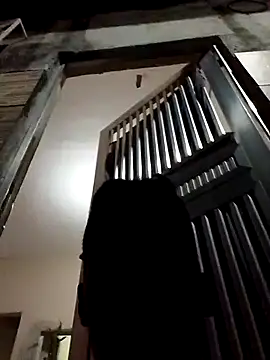 fieltoprj1 online show from 13, 12, 2024