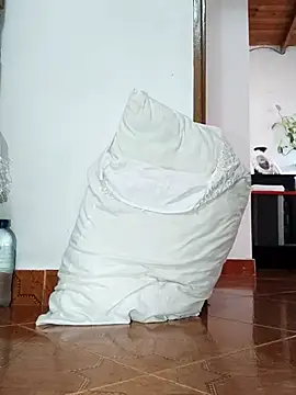 Juanroom online show from 20, 4, 2026