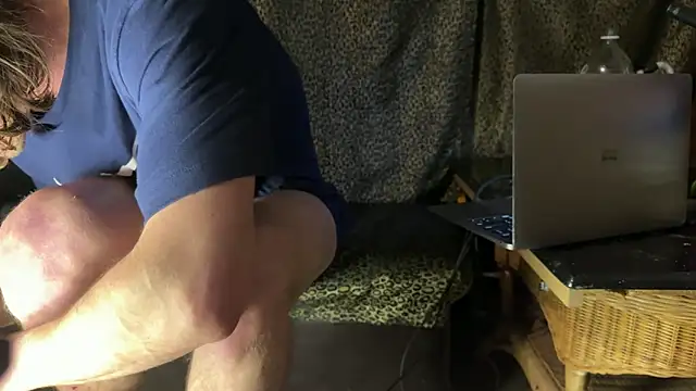 Dogz n daugthers online show from 31, 3, 2026