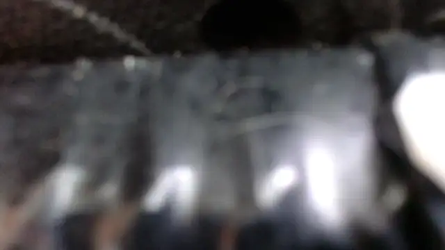 SaraMartins00 online show from 14, 12, 2024